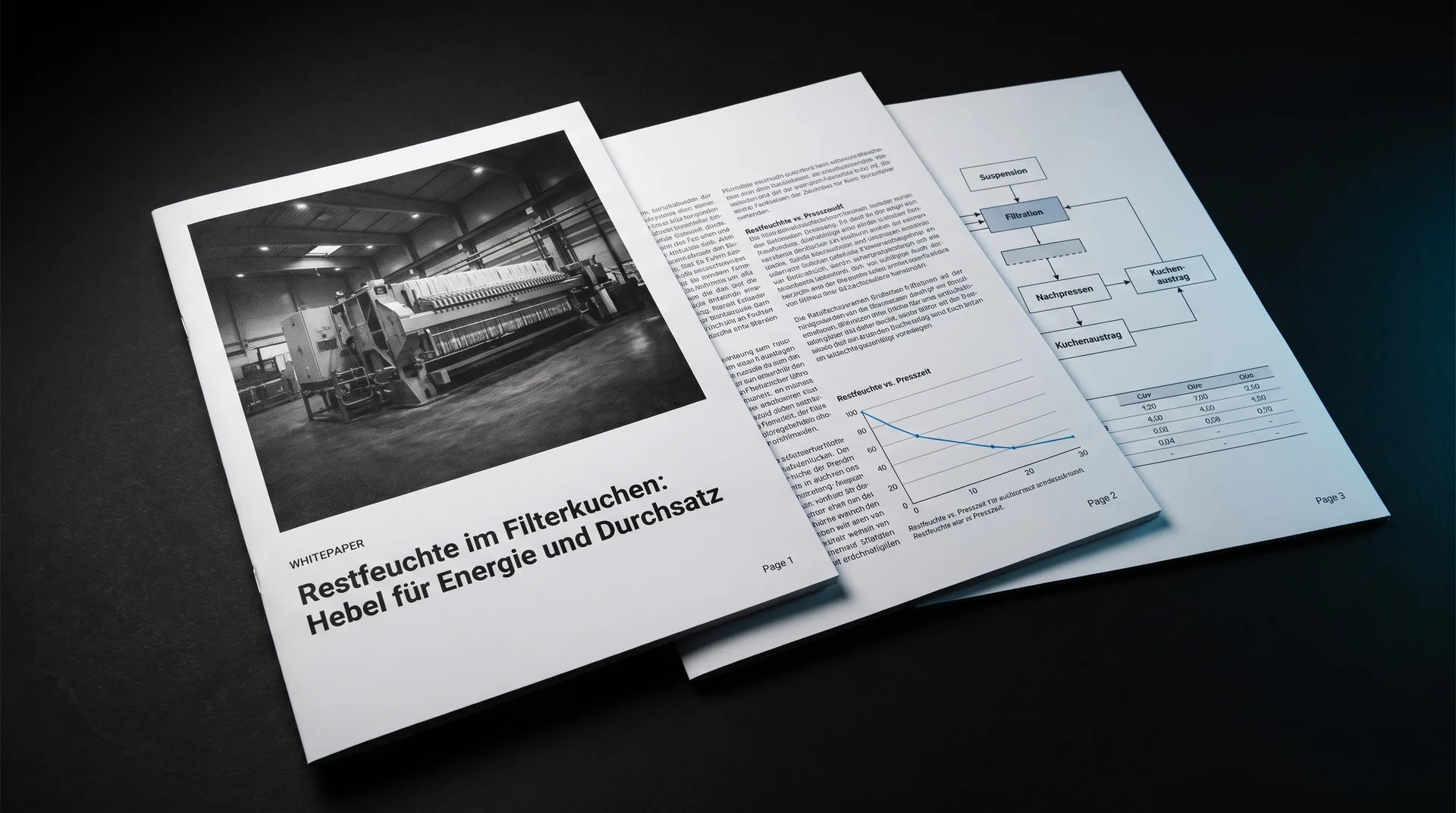 Drei gedruckte Seiten eines Whitepapers mit Titelbild, Diagramm und Prozessschema